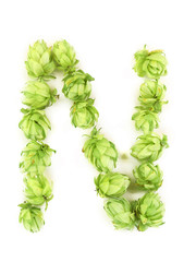 Hop flowers laid in form of letter N.