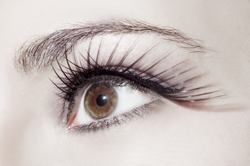 Beautiful woman eye with perfect make up