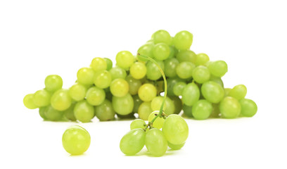 Close up of green ripe grapes.