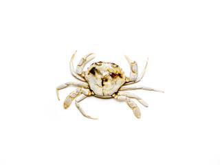Crab.