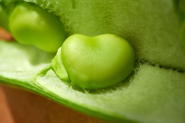 Broad Beans