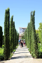 Fototapeta na wymiar Giardini alhambra Granada