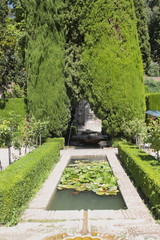 Giardini alhambra Granada