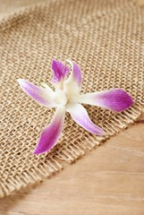 burlap, sackcloth textured background with orchid