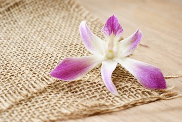 Fototapeta na wymiar burlap, sackcloth textured background with orchid