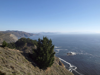 California scenic coastal cliffs with trees and the city of San