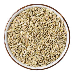 Fennel seed