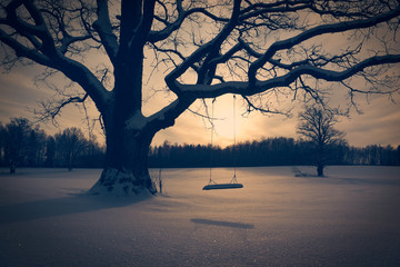Winter Landscape with Abandoned Tree Swing - 57831153
