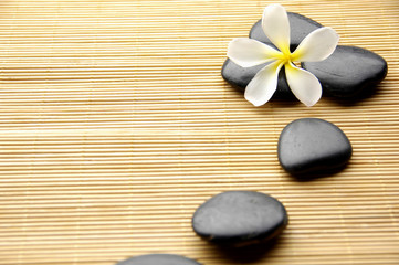 Fototapeta na wymiar Hot spa stones and tropical frangipani flower on wooden board