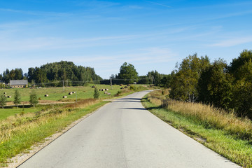 Country road among autumnal meadows