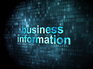 Fototapeta premium Business concept: Business Information on digital background