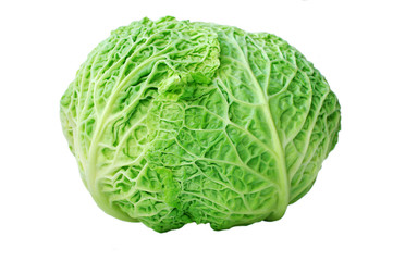 Fototapeta premium head of savoy cabbage