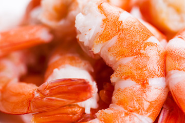tiger shrimps