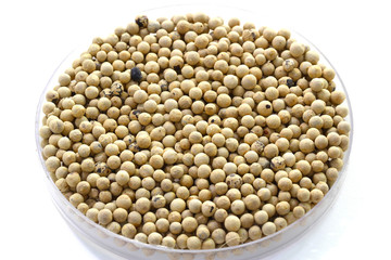 white pepper on white background