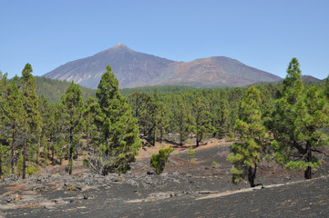 Fototapeta na wymiar Und Pico Viejo Pico del Teide, Teneryfa