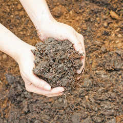 Soil- handful,female hands, humus soil