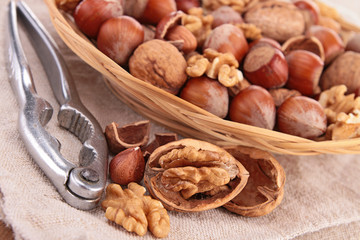 nuts, walnut and hazelnut