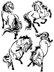 set with horse tattoo