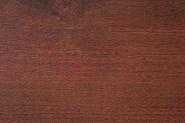 Wooden texture captured in the genuine carpentry worshop - obrazy, fototapety, plakaty