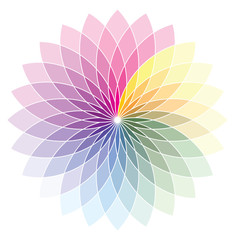 Flower shape color wheel