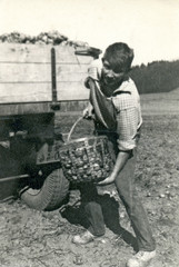 On the Brigade (student pouring potatoes) - circa 1960