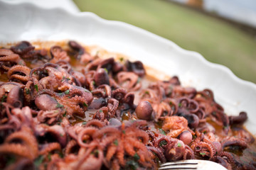 Polpi-octopus antipasti, italian octupus ant pasti buffet dish