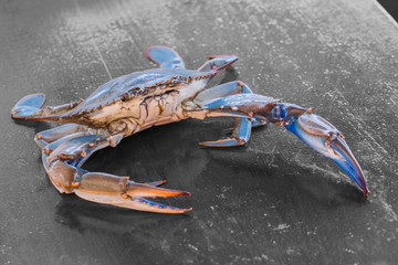 Blue crab on the table © strannik72