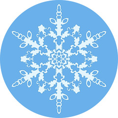 Snowflake 7