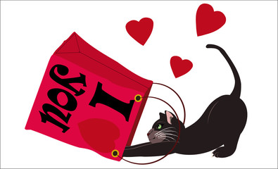 gatto in shopper di san valentino