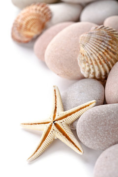 pile of stones, shells and sea star closeup on white background