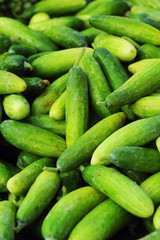 Fresh vegetables - cucumber in the market.