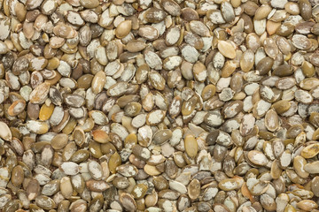 Background out of peeled pumpkin seeds