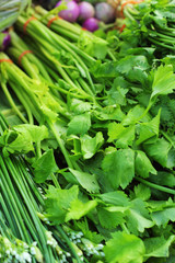 Celery green vegetables in the market.