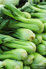 Obraz premium Green cabbage in the market.