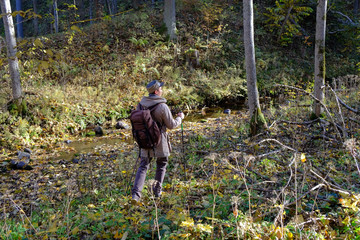 Walking in forest near creek