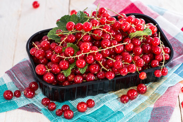 Heap of Red Currants