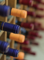 Different wine bottles stacked on wooden racks - obrazy, fototapety, plakaty