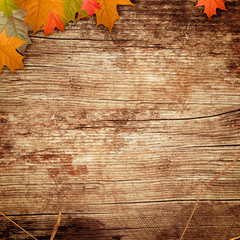 wooden background with the leafs