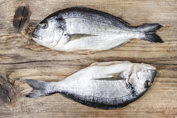 Gilt-head bream fish on wooden background. Mediterranean tavern,