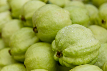 Fresh green guava fruit on the market, which are common