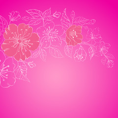 Pink sakura flowers isolated over sepia.