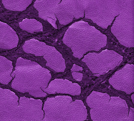 cracked  light leather texture
