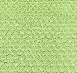 painted in green snake skin close up
