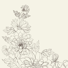 Branch of Chrysanthemum.