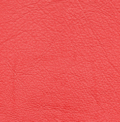 green leather texture