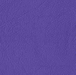 Fototapeta premium green leather texture