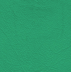 green leather texture