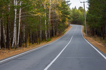forest road