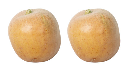 two pumpkins on white background