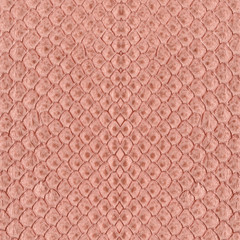 painted  python skin close up